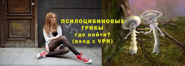 spice Карпинск